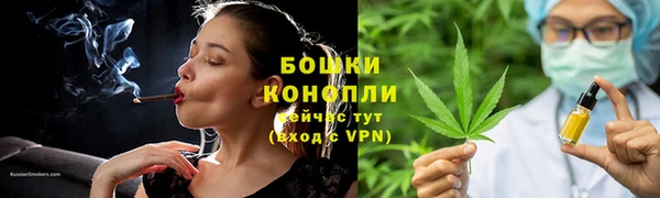 шишки Волоколамск